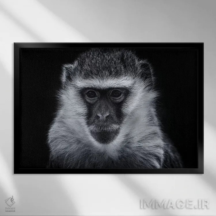 تابلو میمون وروت اثر دیوید وولَن - نمای قابدار مشکی