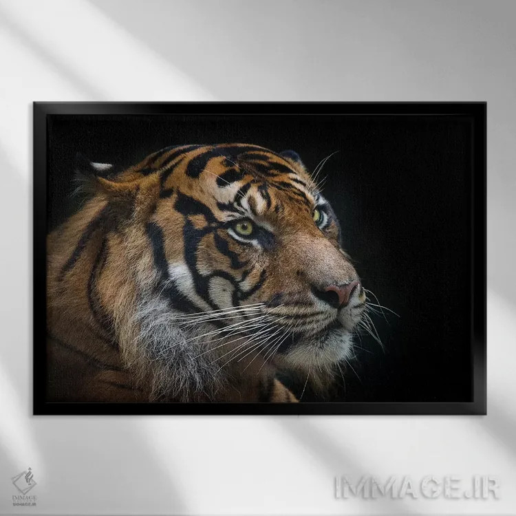 تابلو ببر سوماترایی اثر دیوید وولَن - نمای قابدار مشکی