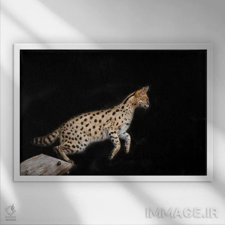 تابلو نانکی رنگی اثر دیوید وولَن - نمای قابدار سفید