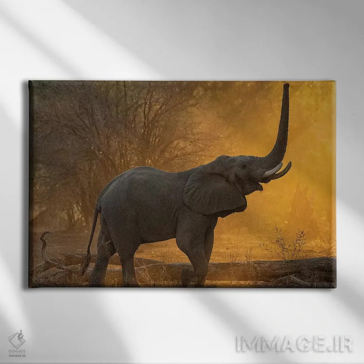 تابلو آزمایش ارتفاع اثر دیوید وولَن - نمای روبهرو روی دیوار