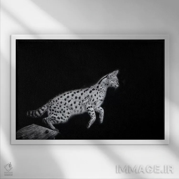 تابلو نانکی در سیاه و سفید اثر دیوید وولَن - نمای قابدار سفید