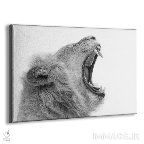 تابلو خمیازه کشیدن اثر دیوید وولَن - نمای پرسپکتیو محصول