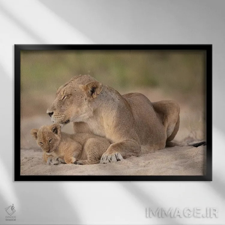 تابلو امنیت اثر دیوید وولَن - نمای قابدار مشکی