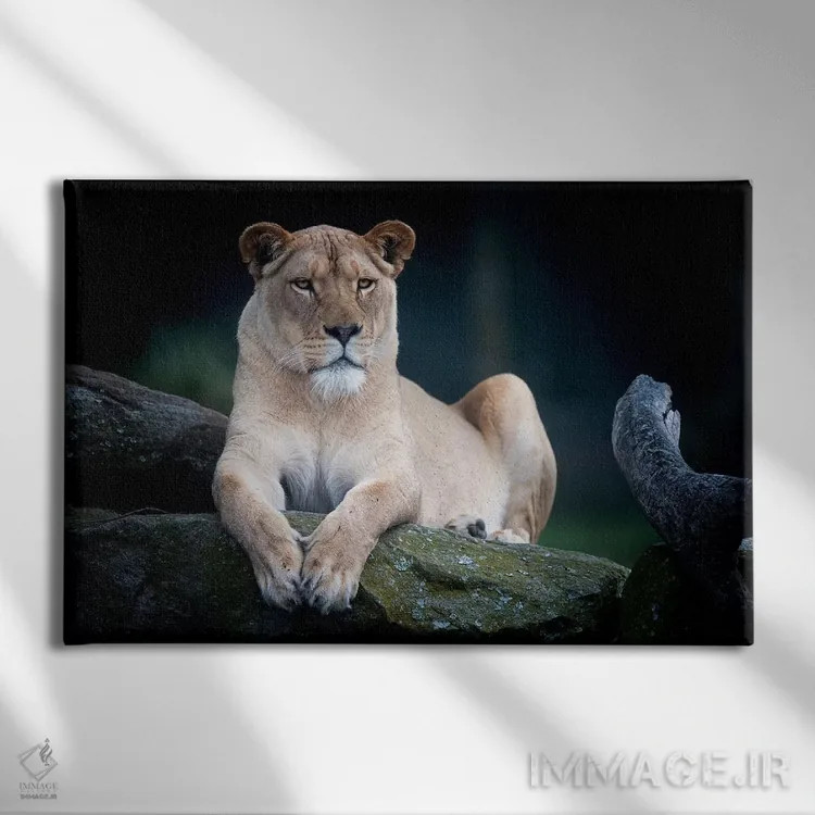 تابلو شیر سفید اثر دیوید وولَن - نمای روبهرو روی دیوار