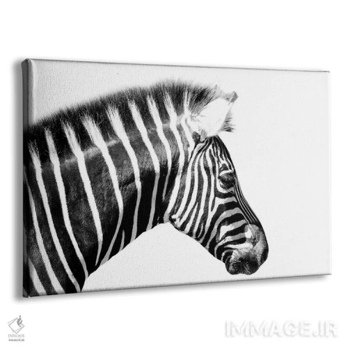 تابلو نمای نزدیک گورخر اثر دیوید وولَن - نمای پرسپکتیو محصول