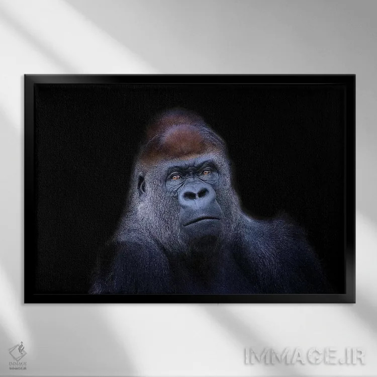 تابلو گوریل دشتهای غربی اثر دیوید وولَن - نمای قابدار مشکی