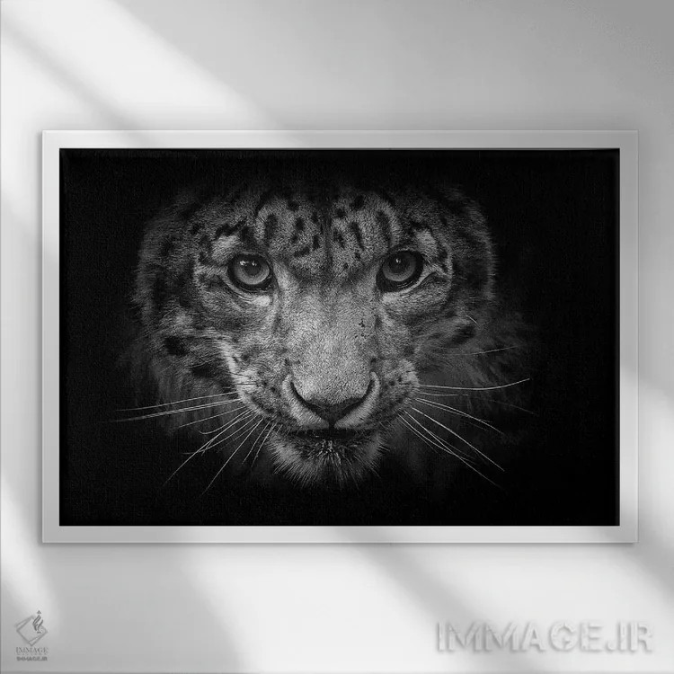 تابلو پلنگ برفی در سیاه و سفید اثر دیوید وولَن - نمای قابدار سفید