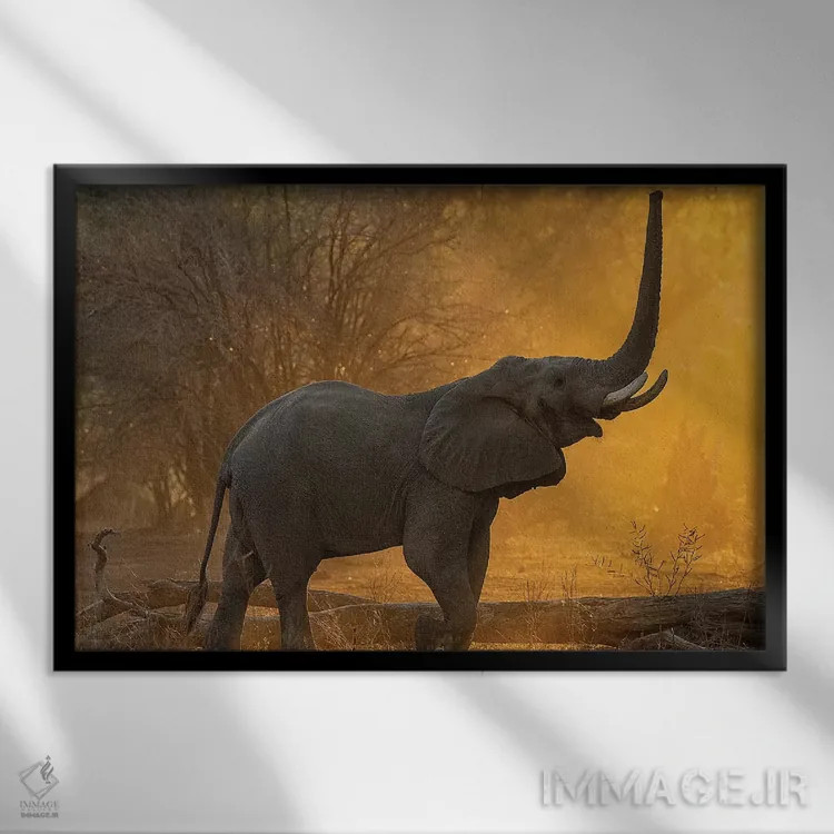 تابلو آزمایش ارتفاع اثر دیوید وولَن - نمای قابدار مشکی