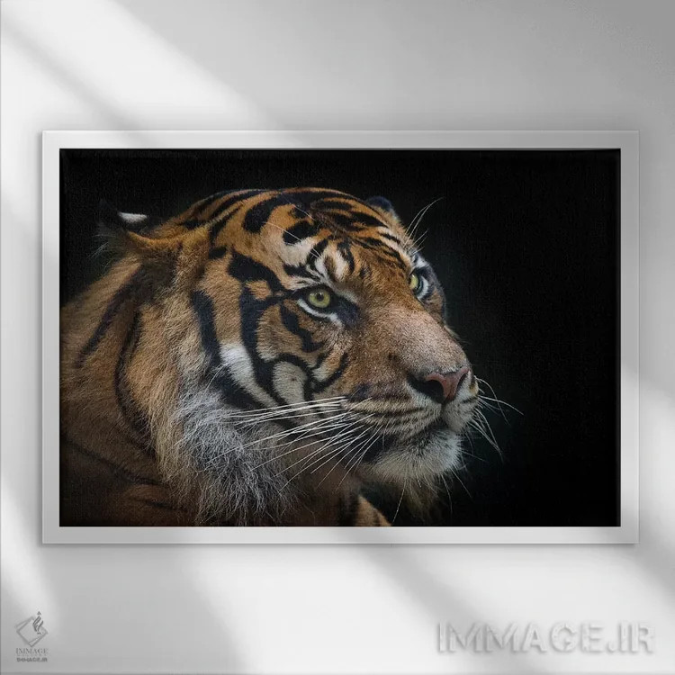 تابلو ببر سوماترایی اثر دیوید وولَن - نمای قابدار سفید