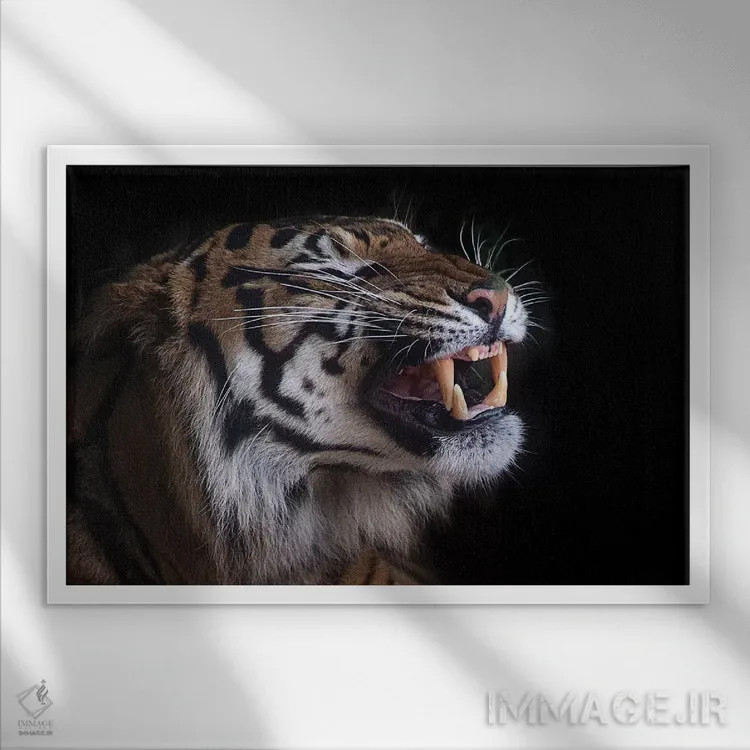 تابلو دندانهای زیبا اثر دیوید وولَن - نمای قابدار سفید