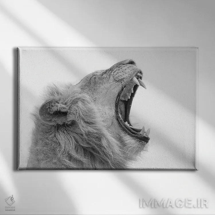 تابلو خمیازه کشیدن اثر دیوید وولَن - نمای روبهرو روی دیوار