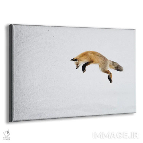 تابلو Yellowstone National Park, Wyoming,روباه قرمز در حال پریدن برای شکار زیر برف، پارک ملی یلواستون، وایومینگ اثر دبورا وینچستر - نمای پرسپکتیو محصول