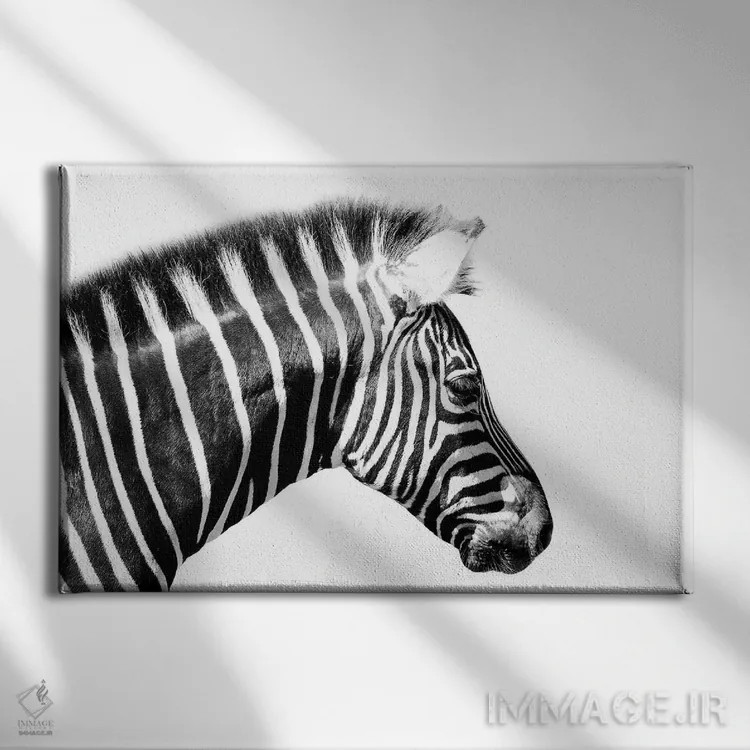 تابلو نمای نزدیک گورخر اثر دیوید وولَن - نمای روبهرو روی دیوار