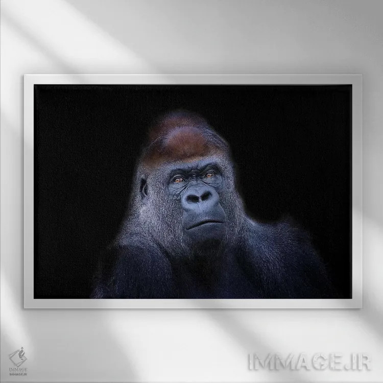 تابلو گوریل دشتهای غربی اثر دیوید وولَن - نمای قابدار سفید