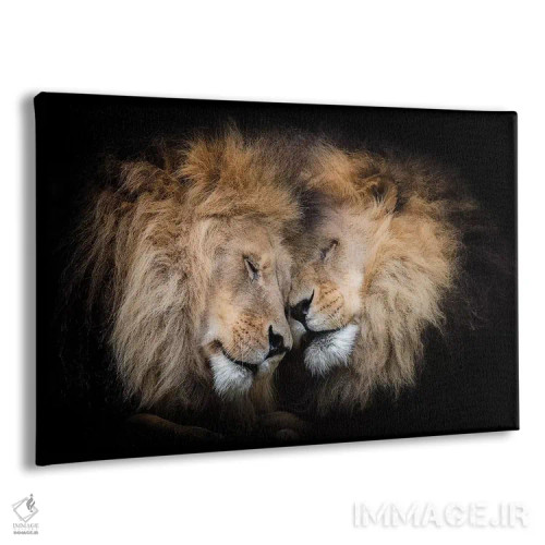 تابلو عشق برادری اثر دیوید وولَن - نمای پرسپکتیو محصول