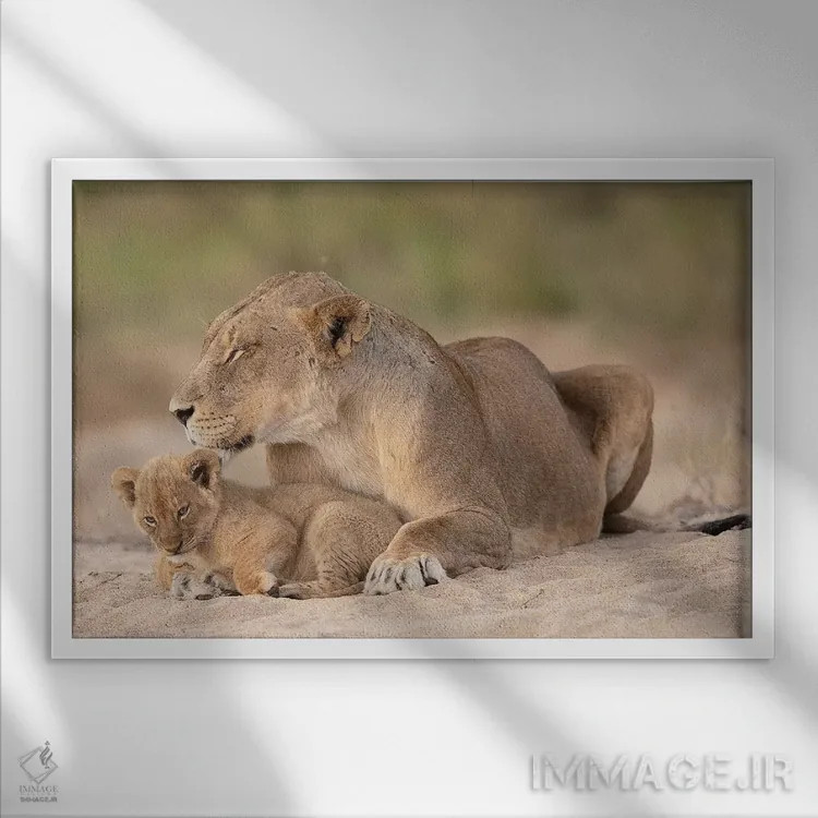 تابلو امنیت اثر دیوید وولَن - نمای قابدار سفید