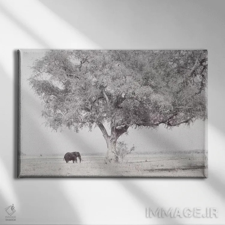 تابلو فیل زامبزی اثر دیوید وولَن - نمای روبهرو روی دیوار