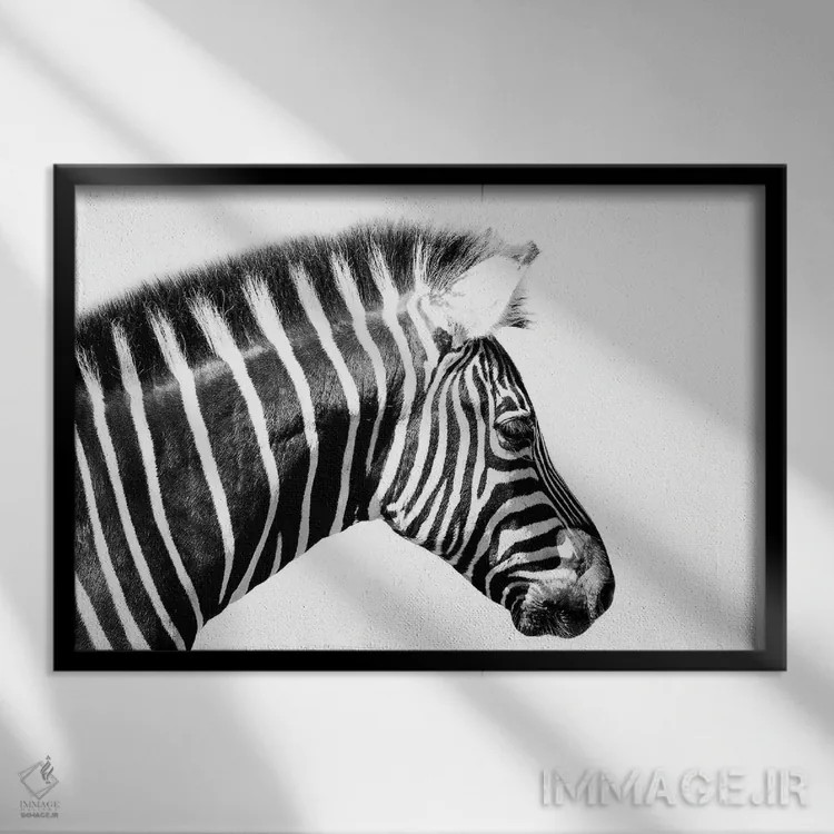 تابلو نمای نزدیک گورخر اثر دیوید وولَن - نمای قابدار مشکی