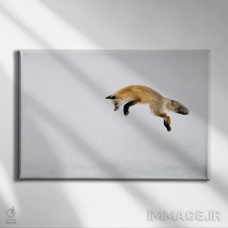 تابلو Yellowstone National Park, Wyoming,روباه قرمز در حال پریدن برای شکار زیر برف، پارک ملی یلواستون، وایومینگ اثر دبورا وینچستر - نمای روبهرو روی دیوار