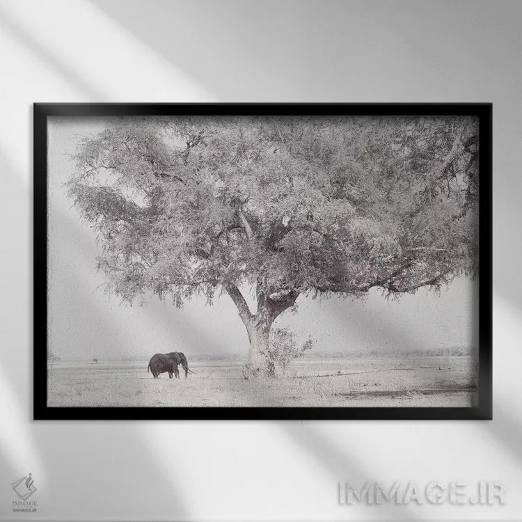 تابلو فیل زامبزی اثر دیوید وولَن - نمای قابدار مشکی