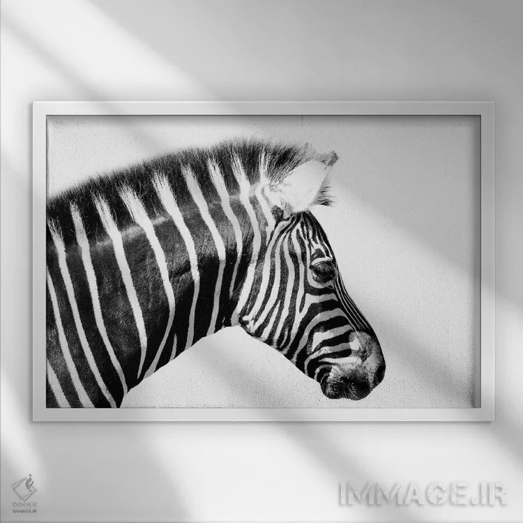 تابلو نمای نزدیک گورخر اثر دیوید وولَن - نمای قابدار سفید