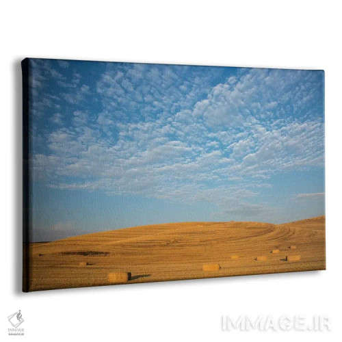 تابلو Washington State, Palouse. Bales of straw in field.,ایالات متحده، ایالت واشنگتن، پالوس. بستههای کاه در مزرعه اثر دبورا وینچستر - نمای پرسپکتیو محصول