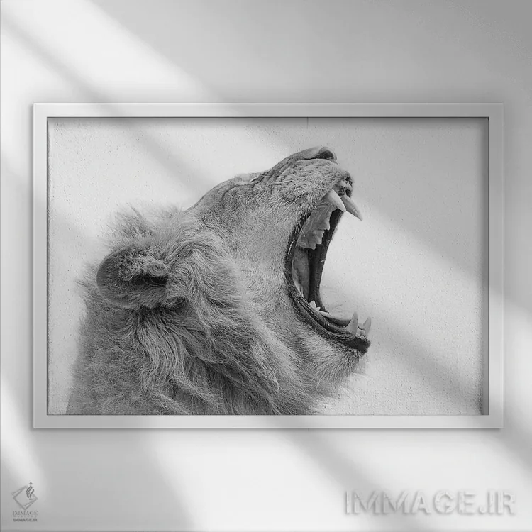 تابلو خمیازه کشیدن اثر دیوید وولَن - نمای قابدار سفید