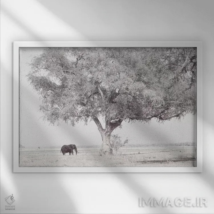 تابلو فیل زامبزی اثر دیوید وولَن - نمای قابدار سفید