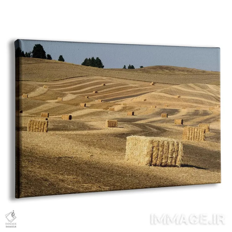 تابلو Washington State, Palouse. Bales of straw in field.,ایالات متحده، ایالت واشنگتن، پالوس. بستههای کاه در مزرعه اثر دبورا وینچستر - نمای پرسپکتیو محصول