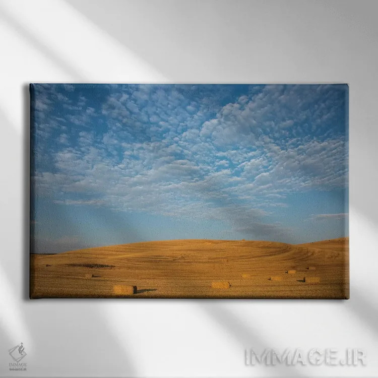 تابلو Washington State, Palouse. Bales of straw in field.,ایالات متحده، ایالت واشنگتن، پالوس. بستههای کاه در مزرعه اثر دبورا وینچستر - نمای روبهرو روی دیوار