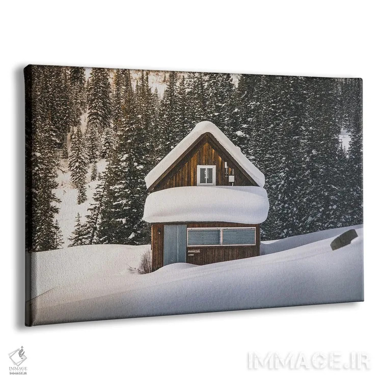 تابلو تنها در طبیعت وحشی کلرادو اثر دیلان واکر - نمای پرسپکتیو محصول