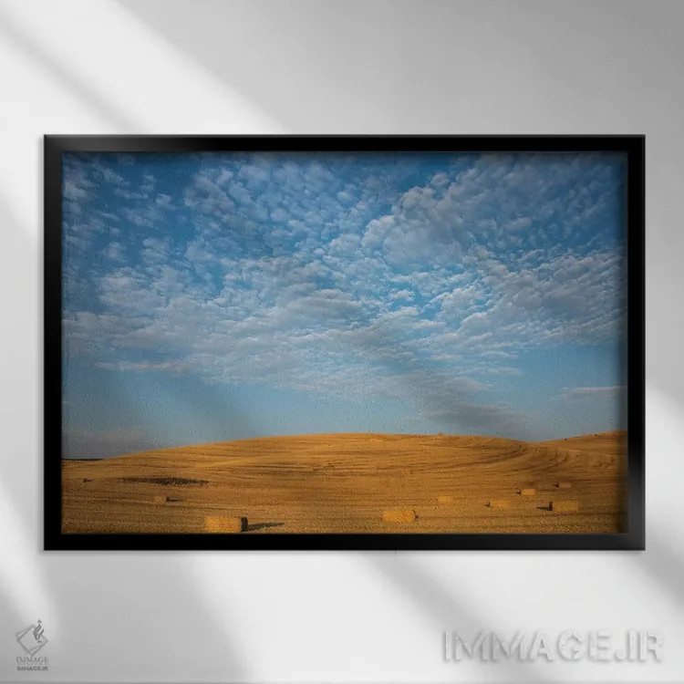 تابلو Washington State, Palouse. Bales of straw in field.,ایالات متحده، ایالت واشنگتن، پالوس. بستههای کاه در مزرعه اثر دبورا وینچستر - نمای قابدار مشکی