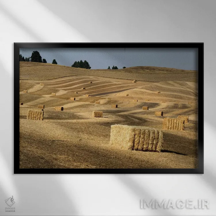 تابلو Washington State, Palouse. Bales of straw in field.,ایالات متحده، ایالت واشنگتن، پالوس. بستههای کاه در مزرعه اثر دبورا وینچستر - نمای قابدار مشکی