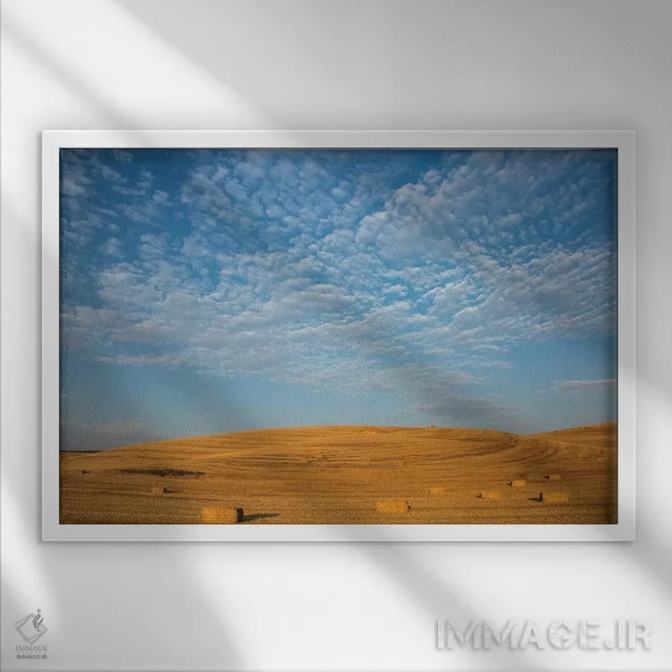 تابلو Washington State, Palouse. Bales of straw in field.,ایالات متحده، ایالت واشنگتن، پالوس. بستههای کاه در مزرعه اثر دبورا وینچستر - نمای قابدار سفید