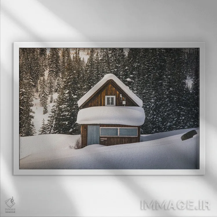 تابلو تنها در طبیعت وحشی کلرادو اثر دیلان واکر - نمای قابدار سفید