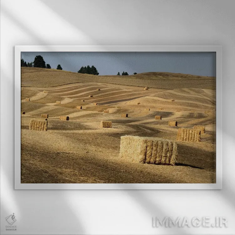تابلو Washington State, Palouse. Bales of straw in field.,ایالات متحده، ایالت واشنگتن، پالوس. بستههای کاه در مزرعه اثر دبورا وینچستر - نمای قابدار سفید