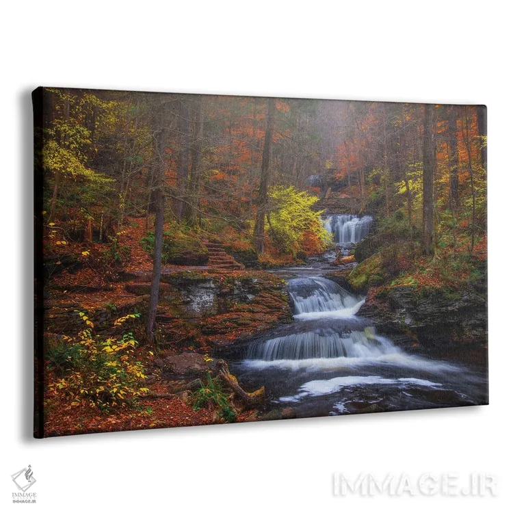 تابلو عشق پاییزی اثر دارن وایت فوتوگرافی (عکاس) - نمای پرسپکتیو محصول