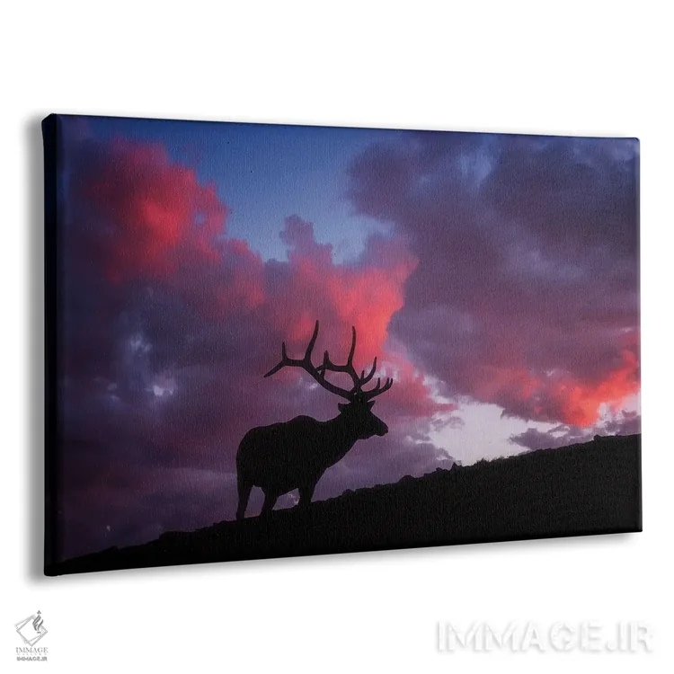 تابلو غروب آفتاب در راکیز (کوهستان راکی) اثر دارن وایت فوتوگرافی (عکاس) - نمای پرسپکتیو محصول