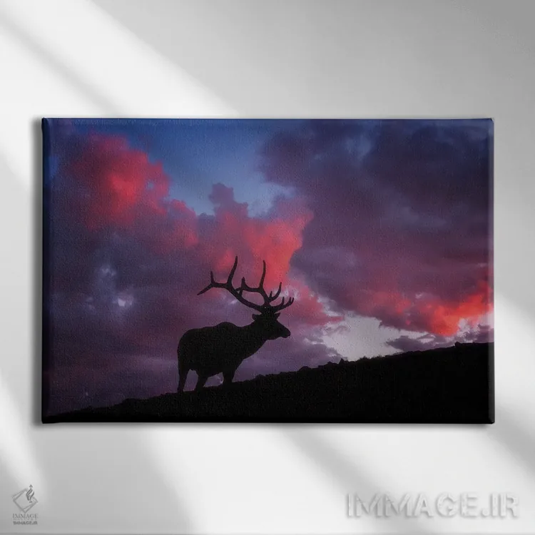 تابلو غروب آفتاب در راکیز (کوهستان راکی) اثر دارن وایت فوتوگرافی (عکاس) - نمای روبهرو روی دیوار