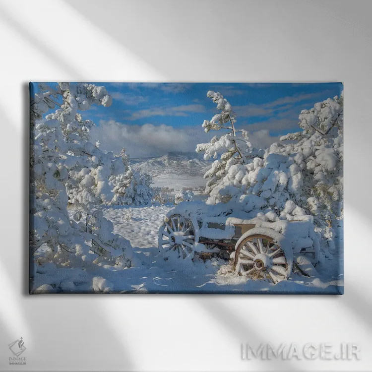 تابلو پارک شده برای زمستان اثر دارن وایت فوتوگرافی (عکاس) - نمای روبهرو روی دیوار