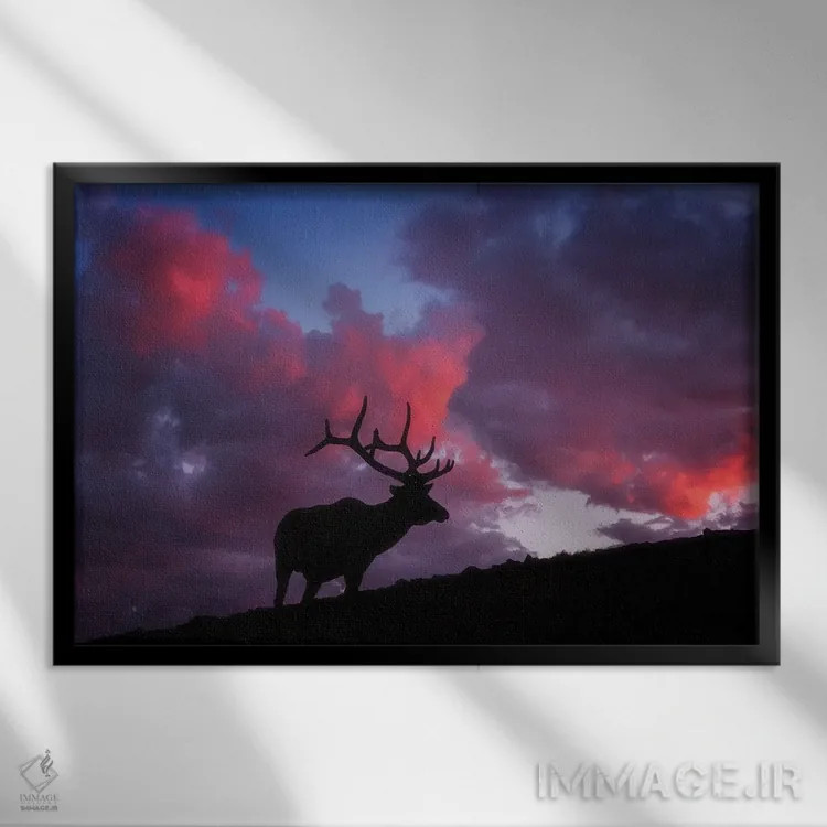 تابلو غروب آفتاب در راکیز (کوهستان راکی) اثر دارن وایت فوتوگرافی (عکاس) - نمای قابدار مشکی