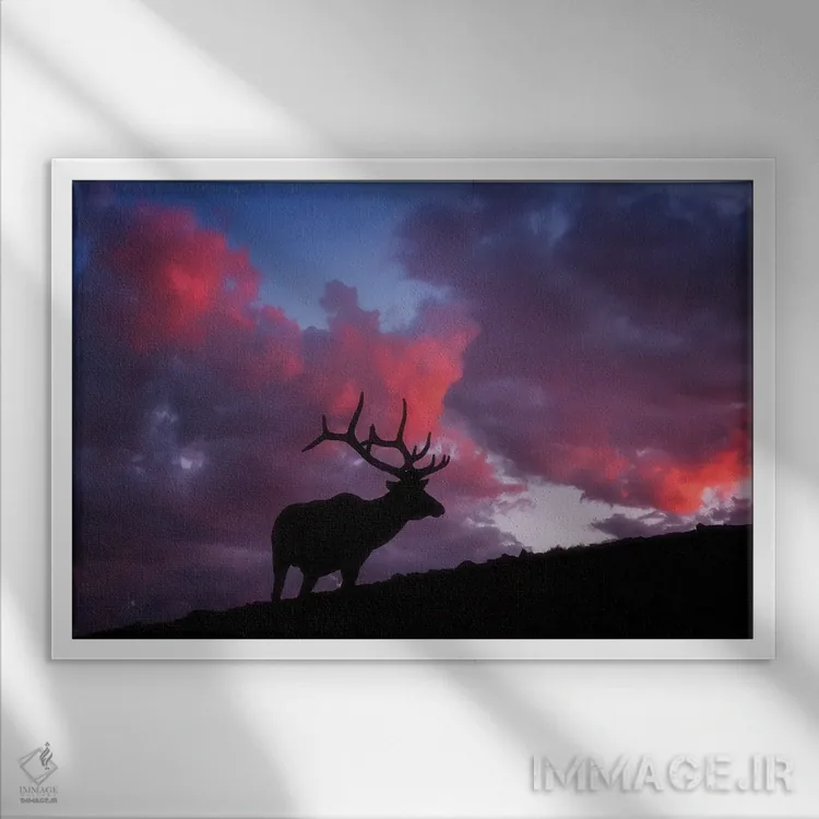 تابلو غروب آفتاب در راکیز (کوهستان راکی) اثر دارن وایت فوتوگرافی (عکاس) - نمای قابدار سفید