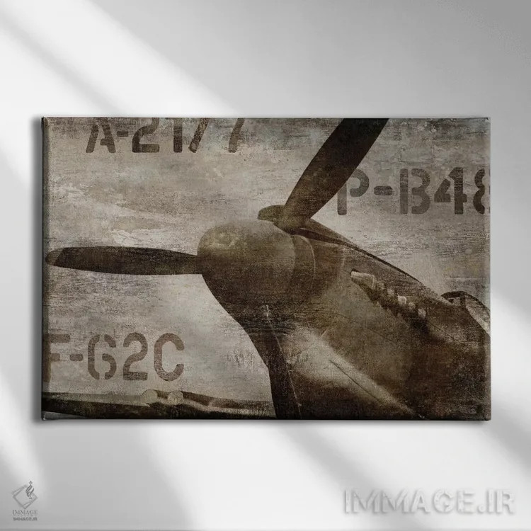 تابلو هواپیمای قدیمی اثر دیلان متیوز - نمای روبهرو روی دیوار