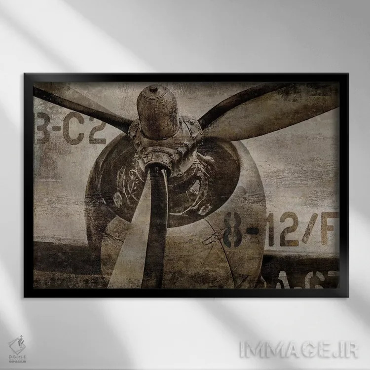 تابلو ملخ قدیمی اثر دیلان متیوز - نمای قابدار مشکی