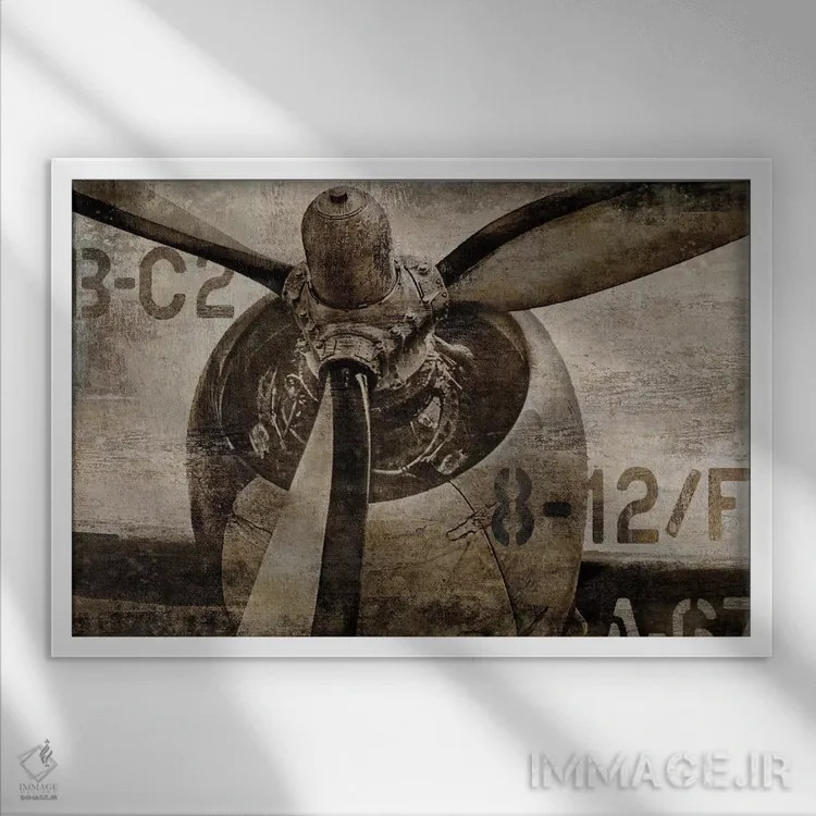 تابلو ملخ قدیمی اثر دیلان متیوز - نمای قابدار سفید