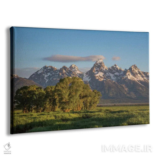تابلو آمریکا، وایومینگ، پارک ملی گرند تتون، کوههای تتون در بهار اثر الیزابت بوم - نمای پرسپکتیو محصول