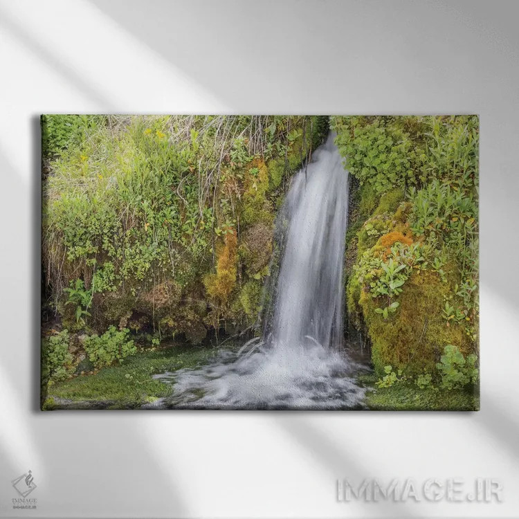 تابلو آمریکا، وایومینگ، شهرستان سابلت، کِندال وُرم اسپرینگز، آبشار کوچکی که روی لبهای خزهای جاری است اثر الیزابت بوم - نمای روبهرو روی دیوار