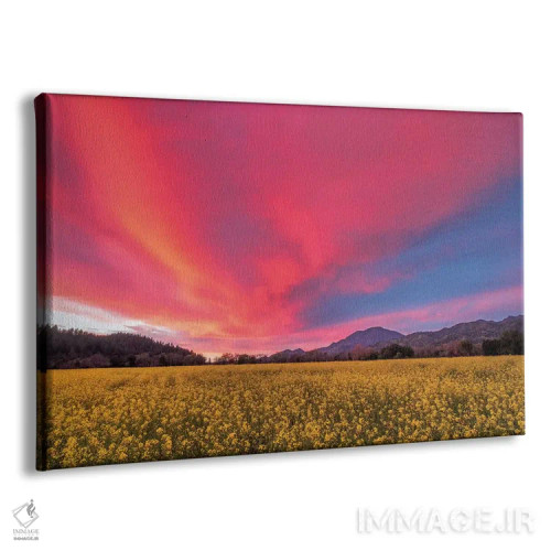 تابلو غروب بهاری در دره ناپا اثر الیزابت کارمل - نمای پرسپکتیو محصول