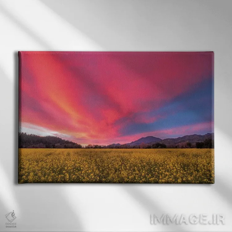 تابلو غروب بهاری در دره ناپا اثر الیزابت کارمل - نمای روبهرو روی دیوار