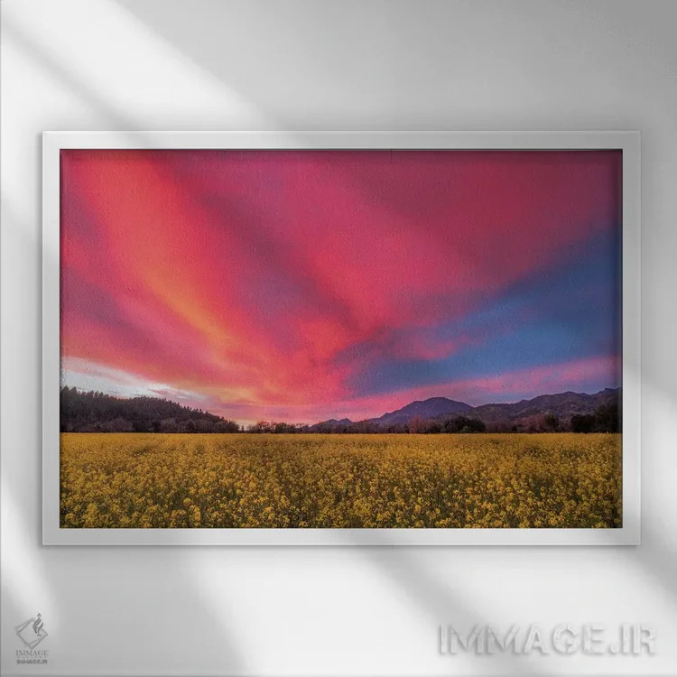 تابلو غروب بهاری در دره ناپا اثر الیزابت کارمل - نمای قابدار سفید